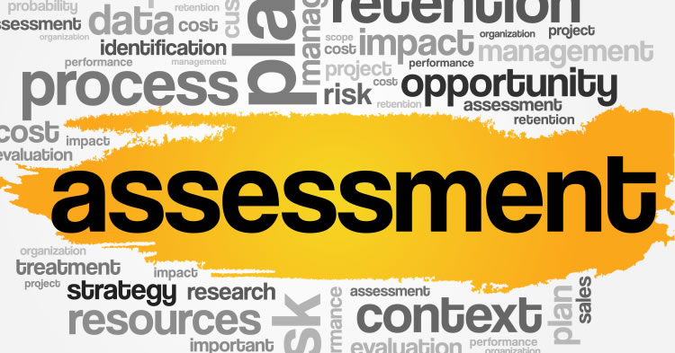assessment